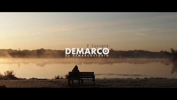 DEMARCO - 2 Cuvinte перевод песни