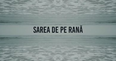 Irina Rimes - Sarea de pe rana / перевод