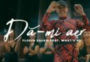 EMIL RENGLE: DA-MI AER — Florin Salam & What’s UP перевод